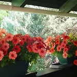 Maria 아파트 Hévíz