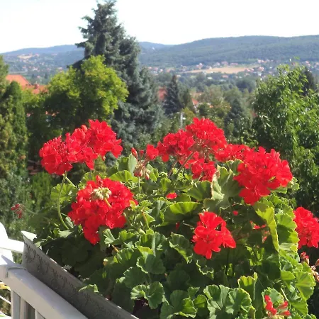Apartamento Maria Hévíz