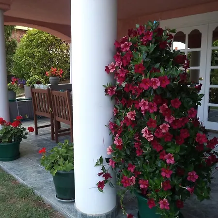 Apartman Maria